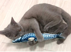 ของเล่นปลาอิเล็กทรอนิกส์ Kingtale แบบเคลื่อนไหวได้ ของเล่นปลาอิเล็กทรอนิกส์สำหรับแมว ชาร์จผ่าน USB แบบพลิกได้ - Product Image 5