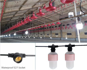 <span class=keywords><strong>A19</strong></span> dim LED akıllı ampul kanatlı çiftlik uzaktan kumanda sistemi tavuk LED lamba E14/E27 tabanı plastik lamba vücut AC güç için - Product Image 5