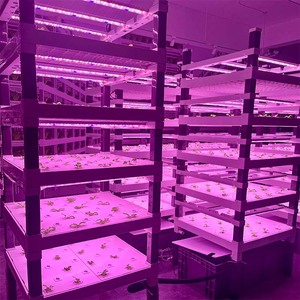 Contenedor de Forraje de Cebada y Avena de Alto Rendimiento Skyplant - Sistema de Cultivo Hidropónico Multicapa Motorizado de Germinación Rápida para Aves de Corral y Ganado Lechero - Product Image 2