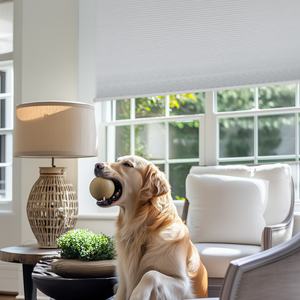 Stores occultantes sans perçage en nid d'abeille sans fil, stores cellulaires filtrant la lumière, installation facile, stores pour fenêtres pour salon - Product Image 4