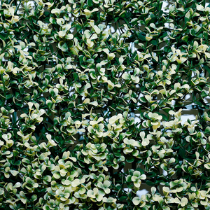 Pared verde de imitación botánica de alta calidad 100% Artificial para pared de fondo Tecnología táctil real Plástico con flor - Product Image 3