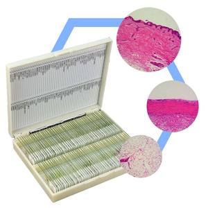 Lames de microscope préparées de haute qualité pour la botanique, feuilles de plantes, meilleur prix, ressources pédagogiques pour l'école, matériau en verre plastique, animaux - Product Image 3