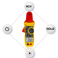 Pince ampèremétrique de fuite VA321A 100A AC, mâchoire 13mm, NCV, 1999 comptes, testeur électrique 600V, CE RoHS, fabricant OEM
