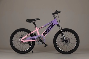 Bicicletta per Studenti di Alta Qualità da 18, 20, 22 Pollici, Mountain Bike, Bici per Giovani e Bambini con Spedizione Rapida - Product Image 3