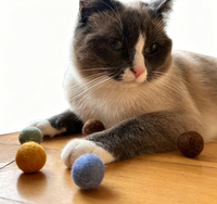 Jouet pour animaux de compagnie en feutre de laine naturelle, balles en laine faites à la main, compatibles avec la catnip, jouet interactif pour animaux de compagnie éco-responsables