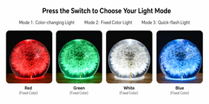 Altavoz Bluetooth con Bola de Cristal de Diente de León Preservado, Flor Eterna Real en <span class=keywords><strong>Esfera</strong></span> de Resina Epoxi con Luz LED de Colores sobre Base de Madera - Product Image 3