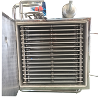 Mini Groentemelk Fruit Vacuüm Vriesdroogmachine Gevriesdroogd Voedsel Snoep Machine Vriezer Droger Machine