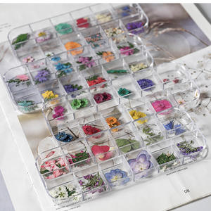 Mezcla de <span class=keywords><strong>flores</strong></span> <span class=keywords><strong>secas</strong></span>, decoraciones para <span class=keywords><strong>uñas</strong></span>, pegatinas de hojas florales naturales 3D para Navidad, esmalte de <span class=keywords><strong>flores</strong></span> <span class=keywords><strong>secas</strong></span> <span class=keywords><strong>en</strong></span> <span class=keywords><strong>uñas</strong></span> para diseño de joyas - Product Image 4