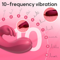 Hot Sales Rabbit Vibratoren für Frauen Großhandel Dildos Vibratoren G-Punkt 10 frequncy weibliches Sexspielzeug für Frauen