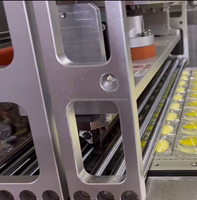 Machine de remplissage automatique haute vitesse pour liquides, en acier inoxydable 304, pour la fabrication et l'emballage de dosettes de lessive, avec PLC Mitsubishi