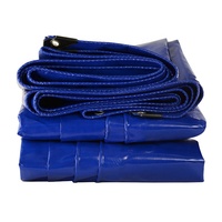 Bâche en Pvc anti-UV, tissu vinyle enduit avec œillets pour couverture, ignifuge feu, imperméable, livraison gratuite