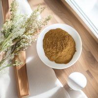 Poudre de racine d'Ashwagandha TianMu, marron, qualité supérieure, Afrique du Sud, extrait végétal, extraction liquide-solide, 100% pur, 0,5%