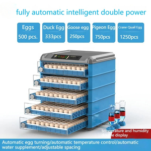 Incubateur GOYOJO 36-500 entièrement automatique pour poulets et éclosoir 220V 35W Garantie 1 an - Product Image 1