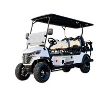 Carrito de Golf Eléctrico Todoterreno Elevado de 6 Plazas con Suspensión MacPherson, Autonomía de 90 km, Batería de 100A, Capacidad para Subir Pendientes de 20-25 Grados