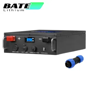 Baterai lithium 12v 200ah sistem energi surya 12v baterai lithium lifepo4 12volt lipo4 penyimpanan energi baterai Ion Lithium