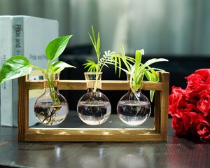 Vase en verre hydroponique moderne en forme de cœur, support de plante en bois, cadre en bois créatif, petit vase hydroponique - Product Image 4