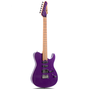 Bullfighter D-160SE Stringed Instrument Rhythm Guitar