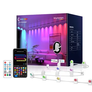 Banqcn bedroom living room indoor home holiday decoration decor xmas smart WiFi IR RGB APP Voice point light source