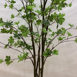Árbol Artificial <span class=keywords><strong>de</strong></span> Enkianthus Perulatus, Flor <span class=keywords><strong>de</strong></span> <span class=keywords><strong>Nieve</strong></span> Japonesa Artificial con Follaje Verde Denso para Decoración <span class=keywords><strong>de</strong></span> Interiores, Hogar y Oficina, Varios Tamaños - Product Image 6