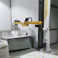 Machine automatique de déballage de sacs, bras robotique intelligent, machine de déballage, 25-100 kg/sac, 80-120 sacs/h.