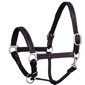 Genuine <b>Harness</b> Leather English Saddle Horse Halter Customizable Padded Noseband Headpiece Western Stitched Finish Nickel Brass - Product Image 1