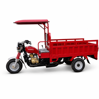 Tricycle cargo, moto à 3 roues, groupe motopropulseur hybride, side-car, véhicule utilitaire, moteur 200cc pour la logistique agricole
