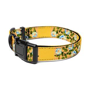 Collar para Mascotas con Flores Blancas - Product Image 1