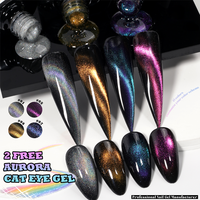 Hema TPO Free Aurora Cat Eye Gel Polish 13 Warna Pelangi Gel Kuku Magnetik UV Gel untuk Penggunaan Salon Ciptakan Manikur Kosmik Anda Sendiri
