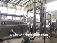 ZG WJT feuille de moringa de banane continue WDG granule poudre fluide lit fluidisé sécheur machine de séchage