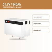 Batterie de stockage solaire LiFePO4 51,2 V 840 Ah 43 kWh avec BMS pour le stockage d'énergie résidentiel et commercial