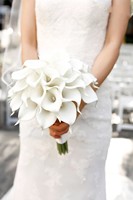 Bunga Calla Lily Tunggal Berkualitas Tinggi Gaya Modern Multiwarna Buatan Ramah Lingkungan Dapat Didaur Ulang Laris Manis untuk Thanksgiving Natal