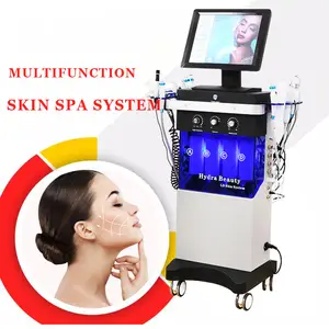 14 In 1 Spa Schoonheid Esthetische Geneeskunde Facial Profesional Machine Leverancier Van Waterkrachtmachines