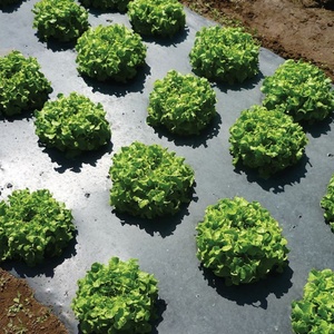 Plástico Agrícola Negro Plateado, Película <span class=keywords><strong>de</strong></span> Polietileno para Control <span class=keywords><strong>de</strong></span> Malezas - Product Image 3