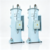 Régulateur de tension automatique monophasé AC 11 kV 50 Hz pour systèmes d'alimentation industriels et équipements de machines d'atelier