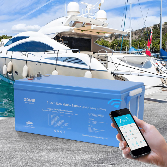 51.2V 48V 100Ah Marine Battery with CAN/RS485 Compatible with Victron Inverter IP67 Waterproof Deep Cycle LiFePO4 Battery