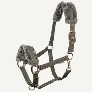 Cabestro de Lujo para Caballo de Nailon Suave y PP con Acolchado Confortable, Tamaño y Empaque Personalizados de Divine International - Product Image 1