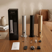 Diffuseur de parfum d'ambiance estival en gros, longue durée, sans flamme, pour maison, voiture, chambre, salle de bain, spa