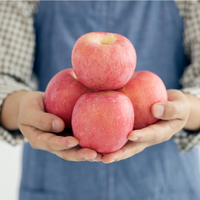 De vervuiling-gratis Big size red juicy apple vruchten Fuji verscheidenheid groothandel goedkope prijs