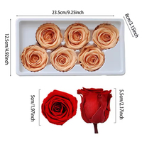 Fabrieksgroothandel Ge conserveerde Rozenkoppen 5-6cm 6 stuks Natuurlijke Verse Rozen Bruiloft Aandenkens Langdurig 3-5 Jaar Echte Aanraking Bloemen
