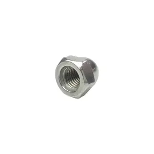M3-24 Din 1587 SS304 316 Stainless Steel Hexagon Dome Cap Nut