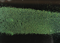 Poudre de pigment caméléon 0,2/0,4 mm, poudre à paillettes intense pour peinture et encre industrielles, haute dispersion, résistante aux intempéries