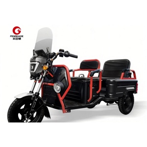 Motocicleta de 3 Ruedas para Carga, Taxi, Pasajeros, EEC, 2 Personas, Triciclo Eléctrico - Product Image 6