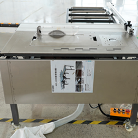 Sierra de mesa deslizante plegable WJ600B con brazo oscilante, certificación CE, más de 30 años de experiencia de fábrica, OEM ODM, motor dual de cobre, cortadora de madera sin polvo
