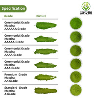 Poudre de Matcha de Qualité Supérieure AAAAA/AAAAAA de Grade Cérémonial, Vente en Gros Usine et OEM/ODM