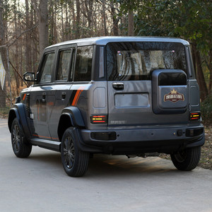 Vehículo de Movilidad Eléctrico de Cuatro Ruedas, Doble Combustible, Nueva Energía, Sin Licencia de Conducir, Apto para Personas Mayores, para Damas y Familias, Nuevo y Cerrado - Product Image 2