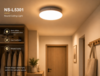Suspension LED en albâtre, style nordique, moderne et simple, blanc chaud, petite taille, pour installation en projet