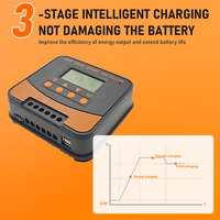 Régulateur de chargeur de panneau solaire intelligent 24V 12V DC sortie ampoule 10A 20A contrôleur de charge manuel mppt