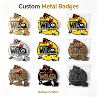 Lot de badges en émail personnalisés en forme de mascotte de dessin animé, avec boîte cadeau, logo personnalisé, décoration d'uniforme, insigne métallique pour cadeaux d'entreprise