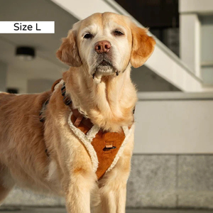 Set <span class=keywords><strong>Harness</strong></span> dan Tali Anjing Warna Biru Beludru Hangat dengan Kantong Camilan untuk Anjing Kecil, Sedang, dan Besar Model Rompi - Product Image 3