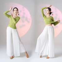 Ensemble de costumes de danse ethnique classique pour femmes, vêtements orientaux professionnels avec logo personnalisé, jupe longue fluide et pantalon, vente en gros